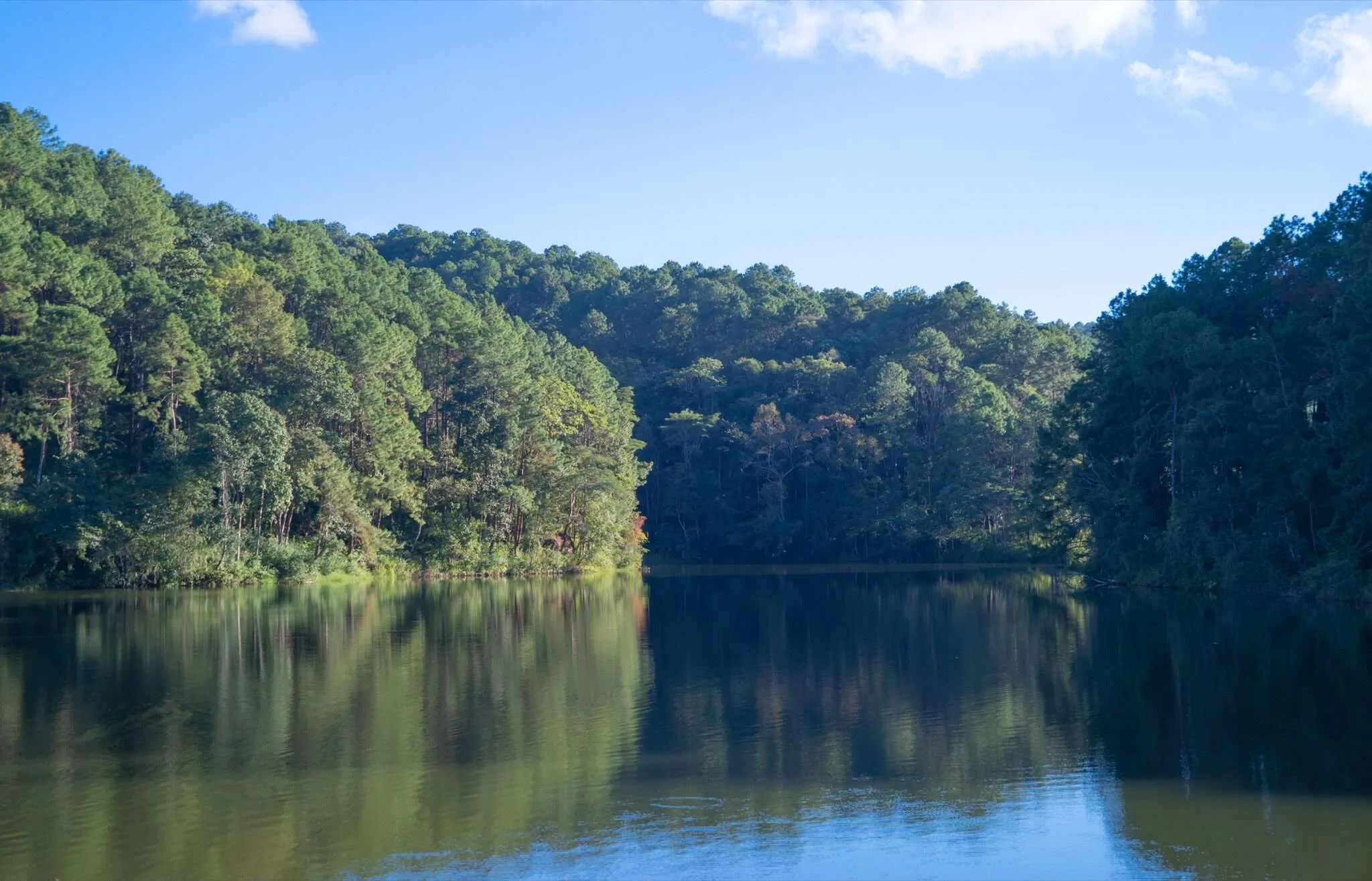 Oak Mountain State Park lake surrounded by forest near Birmingham Alabama