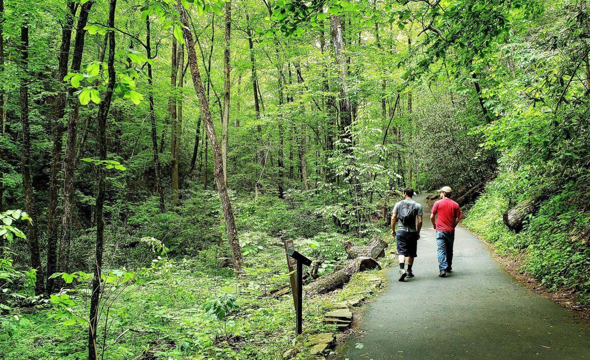 Hikers on a trail at Red Mountain Park in Birmingham Alabama
